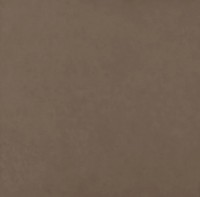 Paradyz Intero Brown 59,8x59,8 padlólap