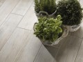 Marazzi Treverkmood Tiglio